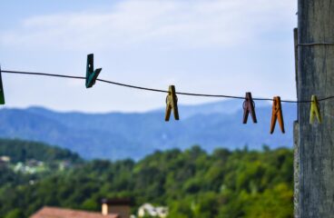 Zvídavost jako most k úctě