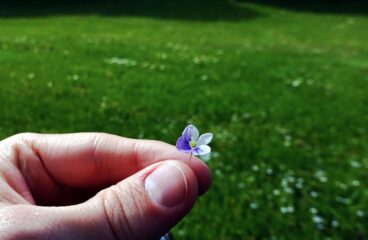 Cesta k vnímání smyslu a pokoře